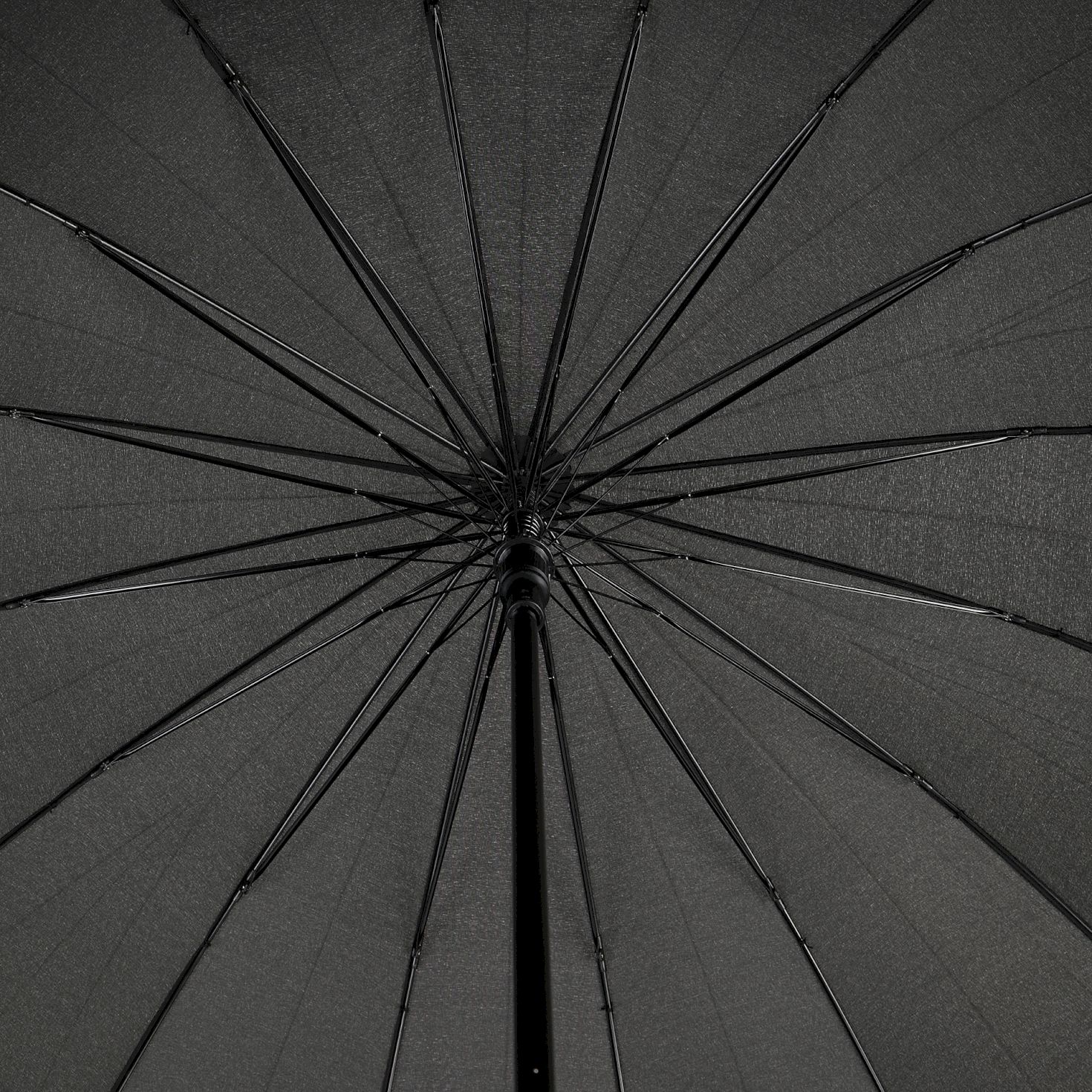 Зонт 3